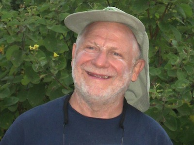 Ermanno Pietrosemoli