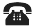 phone icon